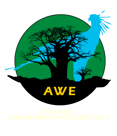 AWE logo